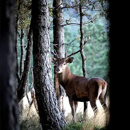 Casa Da Comareira Landsted Góis