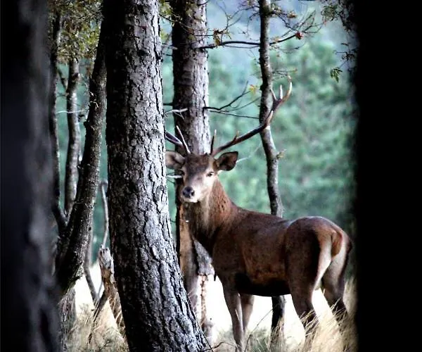 Casa Da Comareira Εξοχικό σπίτι Góis